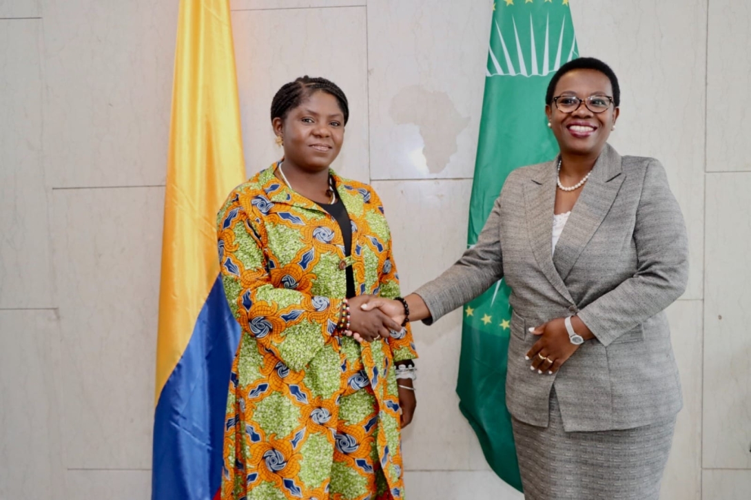 Viceministro Francisco Coy acompañó a la vicepresidenta Francia Márquez a una amplia agenda en Etiopía