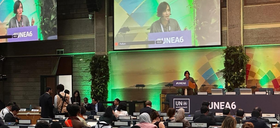 Participación estratégica de Colombia en el Sexto Período de Sesiones de la Asamblea de las Naciones Unidas sobre el Medio Ambiente